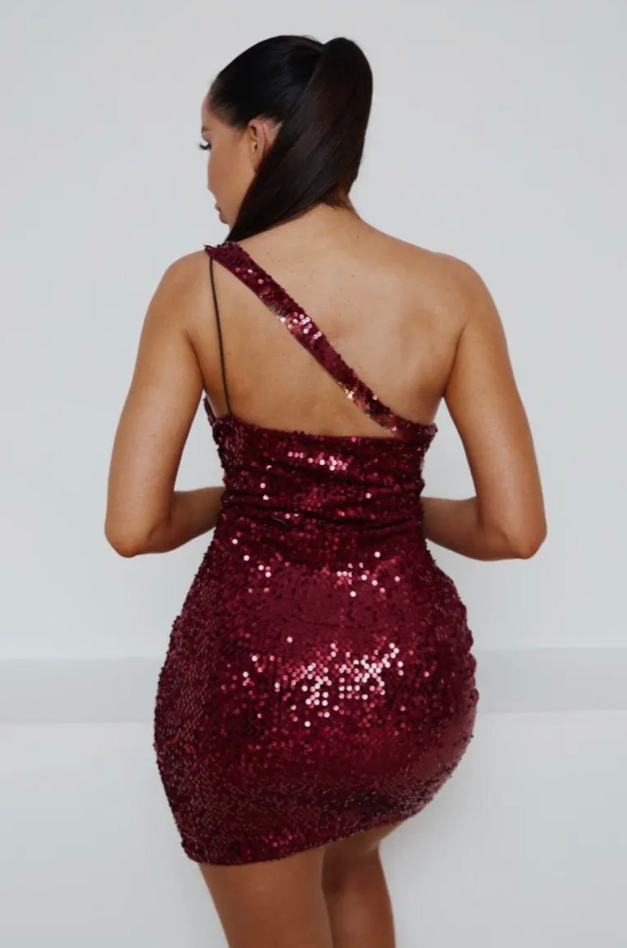 The Siren Sequin Mini Dresds