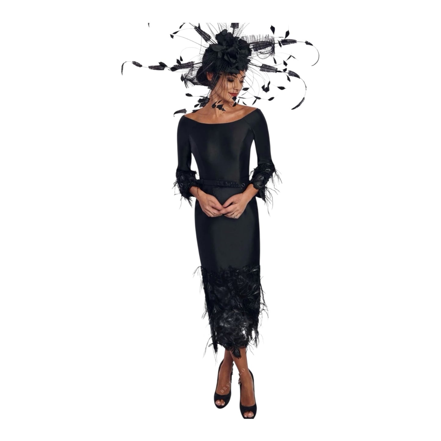 Noir Plume