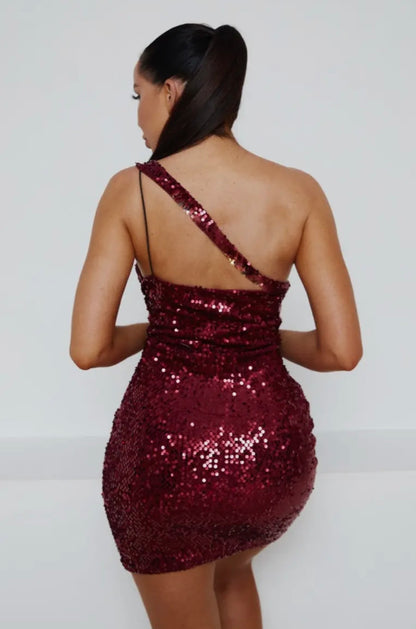 The Siren Sequin Mini Dresds